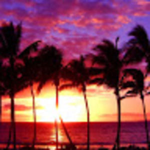 Meet your Posher, Genevieve